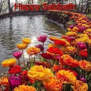 Meet your Posher, Sharon